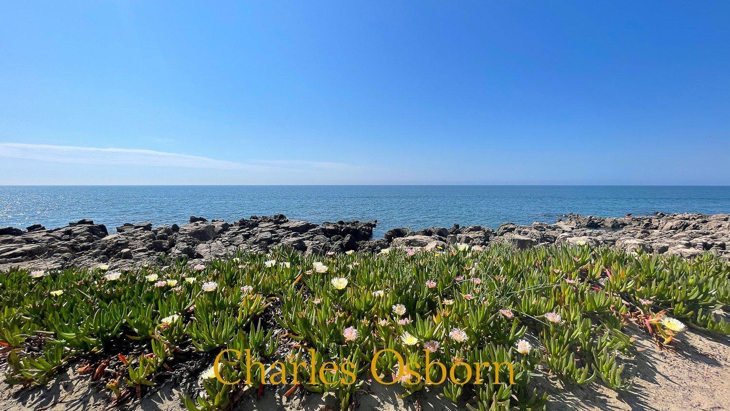 Terramer - Residence Vue Mer Sète Dış mekan fotoğraf